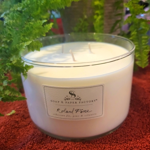 ❤️BUY 5 GET 3 FREE  ROLAND PINE LARGETHREE WICK CANDLE - Picture 1 of 8
